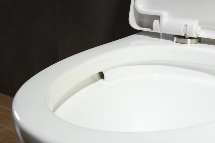 Ariston 1.1/1.6 Dual Flush One Piece Elongated Toilet - Seat Included in Matte White