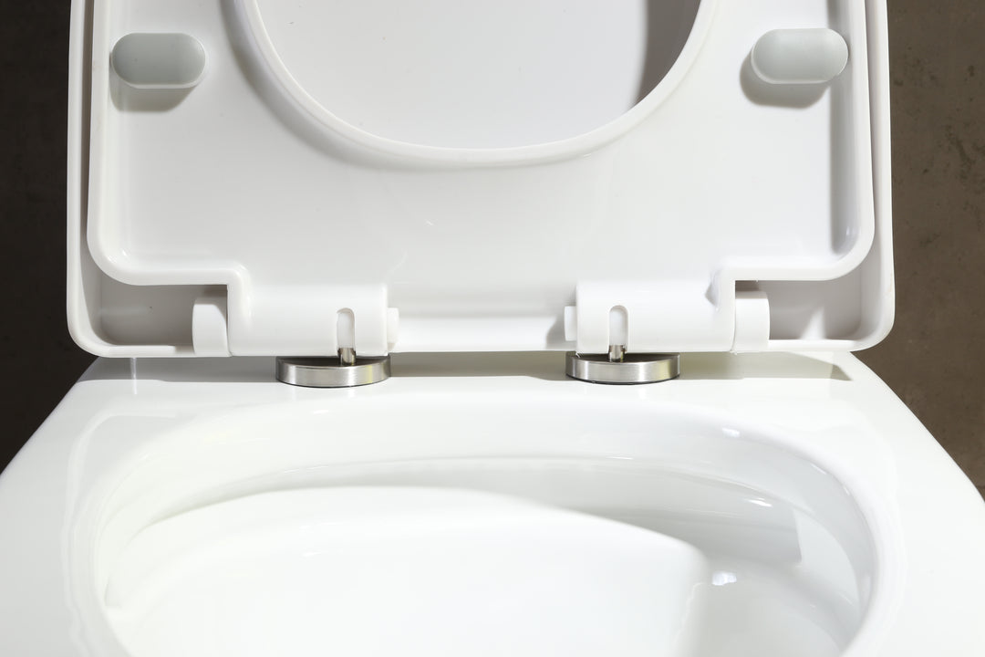 Ariston 1.1/1.6 Dual Flush One Piece Elongated Toilet - Seat Included in Matte White